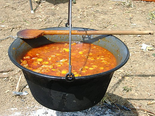GASZTROFORRADALOM