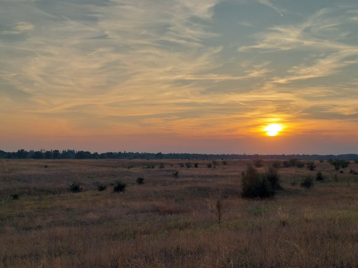 KALANDOS ESTI TÚRA BUGACON